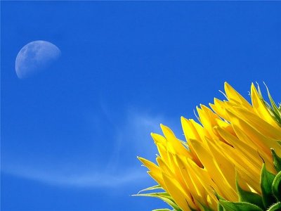 늘수면 이미지