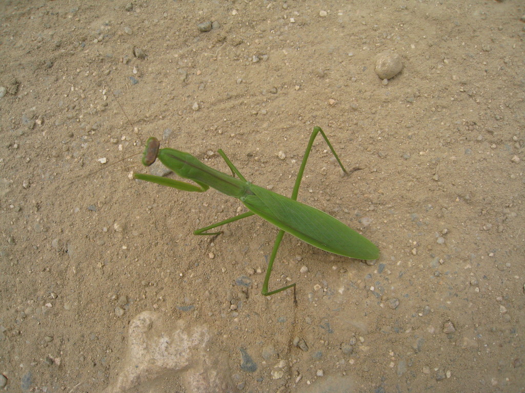 밀레목동 이미지