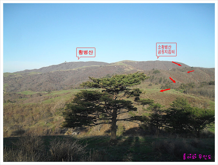 대관령축산 이미지