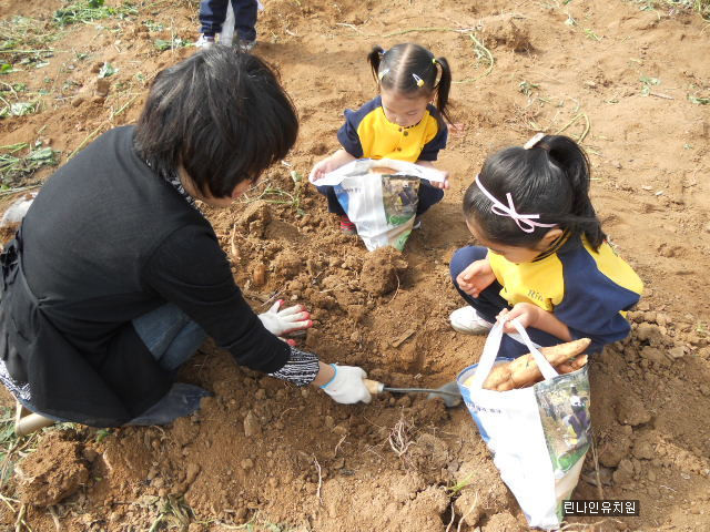 핫도크 이미지