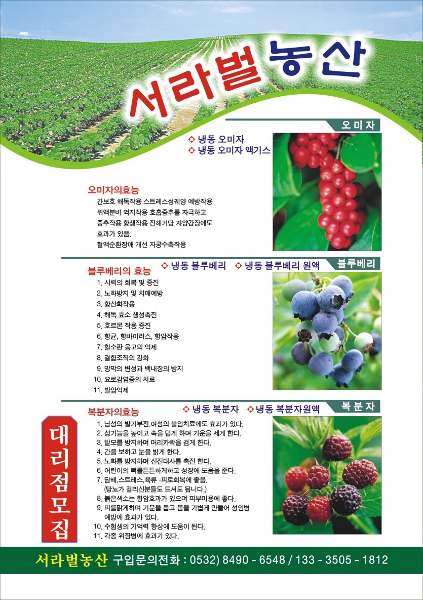 서라벌 이미지