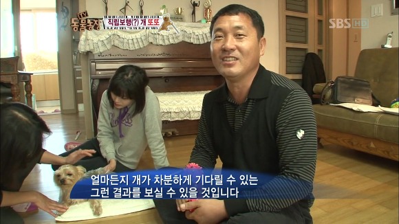 [동물농장] 지팡이 짚고 걷는 심봉사 개 또또라오 | 인스티즈