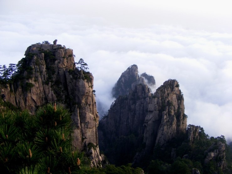 황산주 이미지