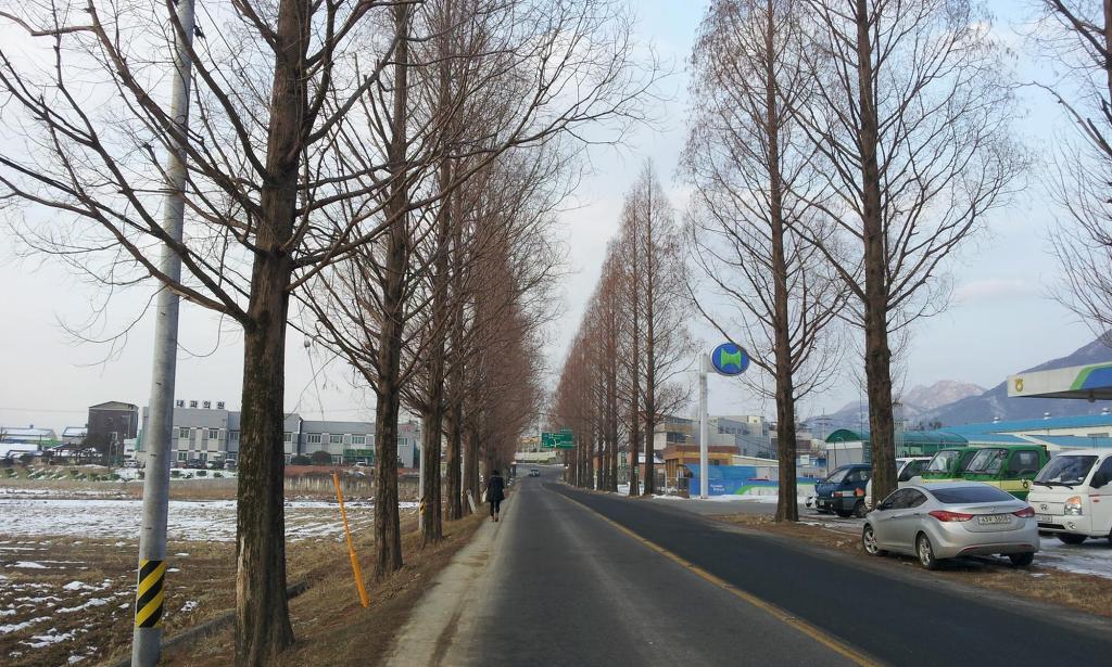 수북농협주유소 이미지