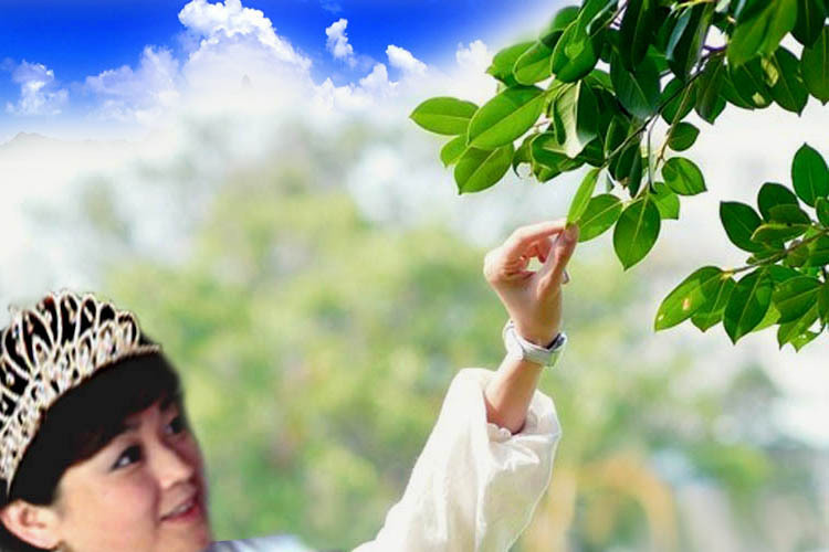 7080사랑방 이미지