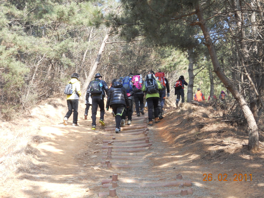 공육 이미지