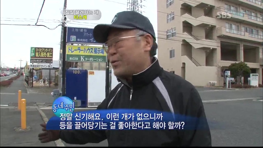 [동물농장] 목줄로 질질 끌려다니는 개.JPG | 인스티즈