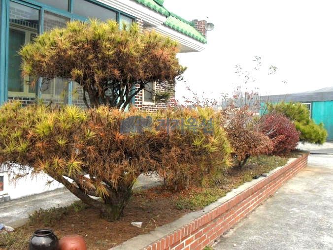 만경벽돌 이미지