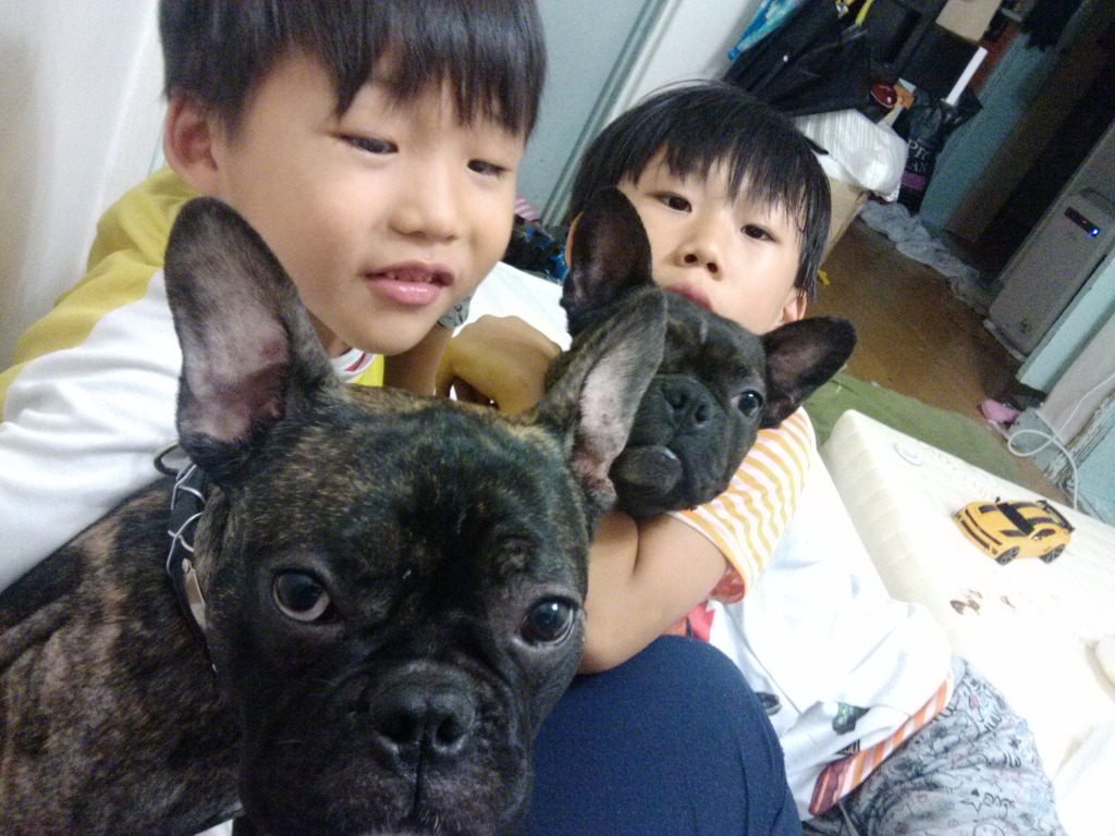 미미토토 이미지