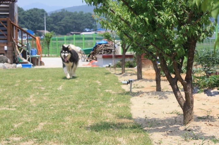 강화도집 이미지