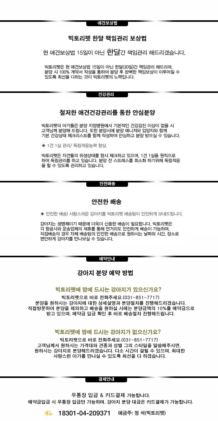 빅토리엔젤 이미지