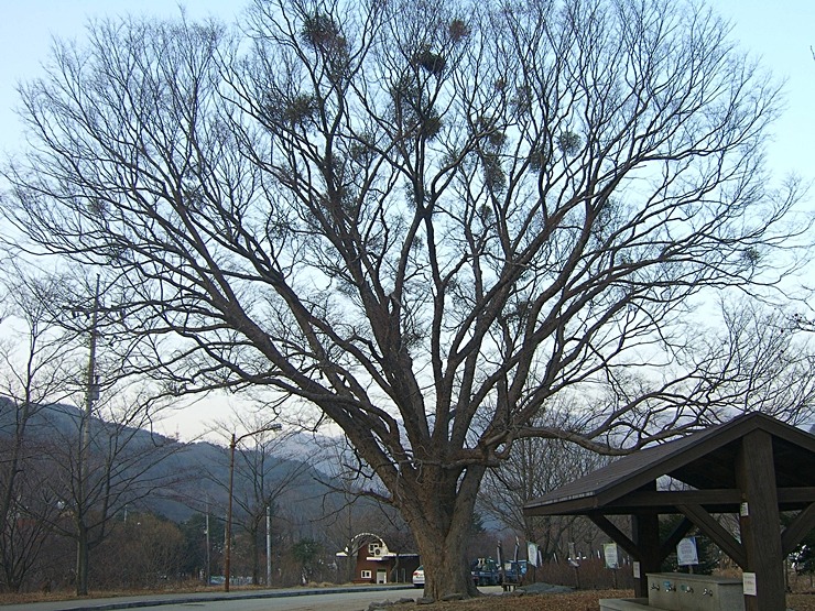 더불어행복한세상 이미지