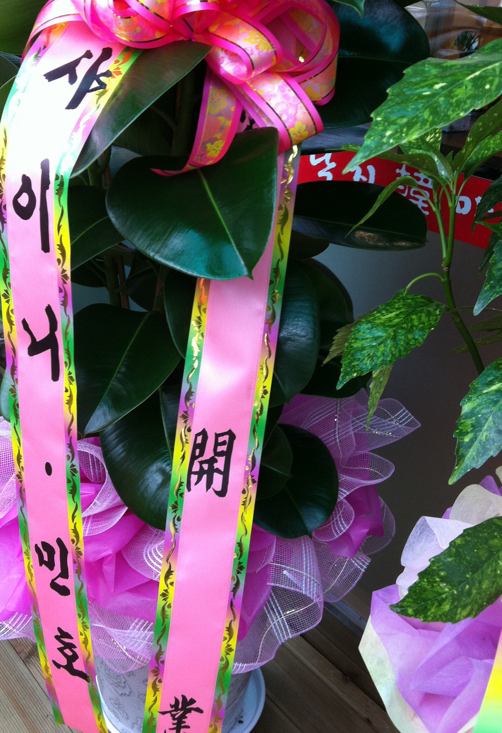 낙지한마당 이미지