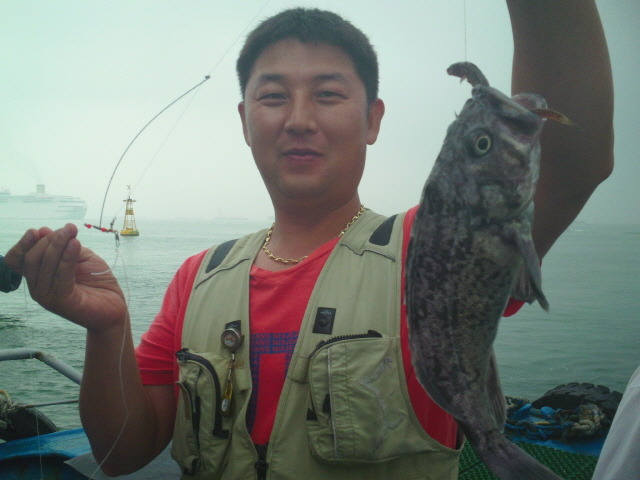 해조호 이미지