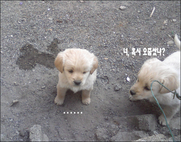 노상 이미지