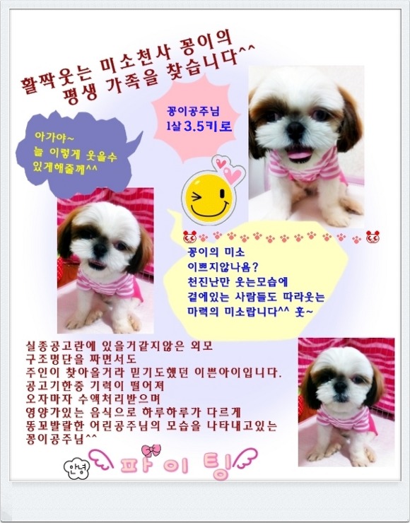 꽁이 이미지