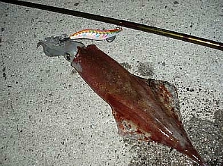 1853B73F4DE2FA3A1468F4