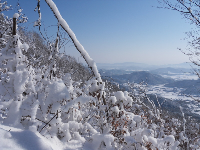 삼성당구장 이미지