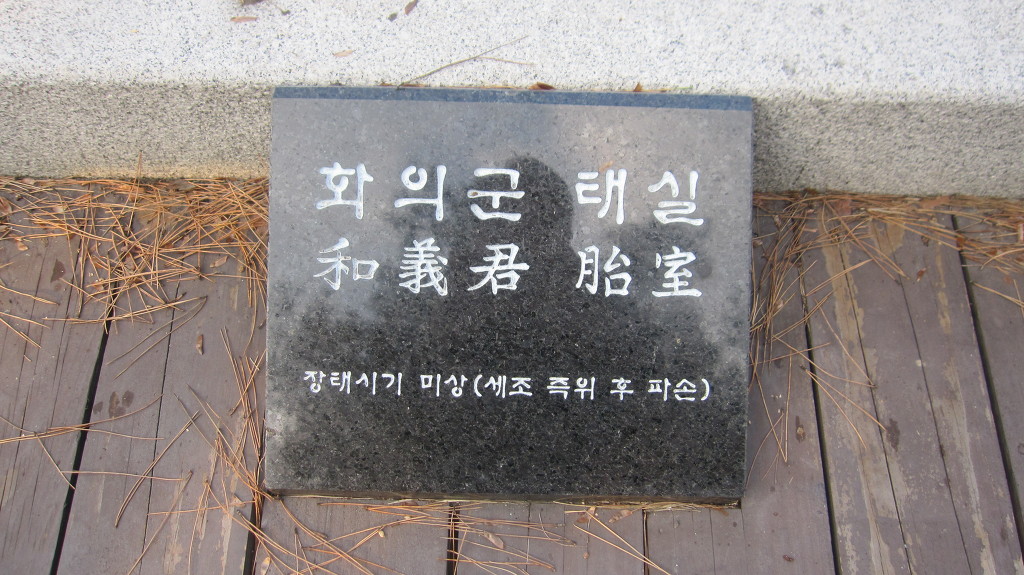 금성석물 이미지