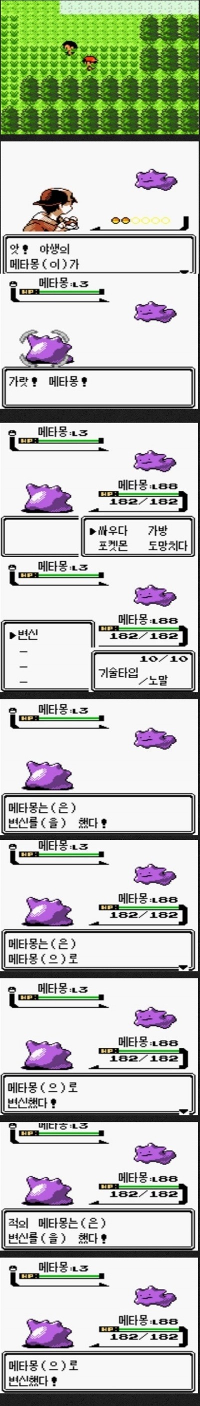 메타몽의 한계 | 인스티즈