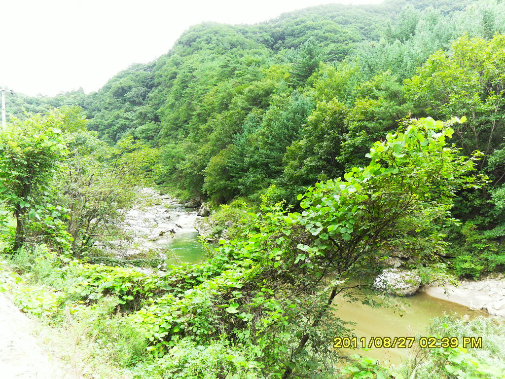 용소원 이미지