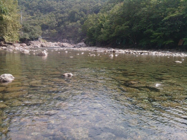 지리산밧데리 이미지