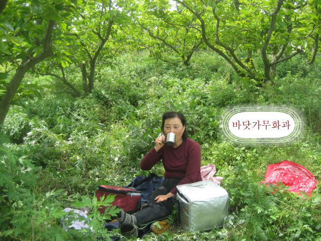 자연벗농원 이미지