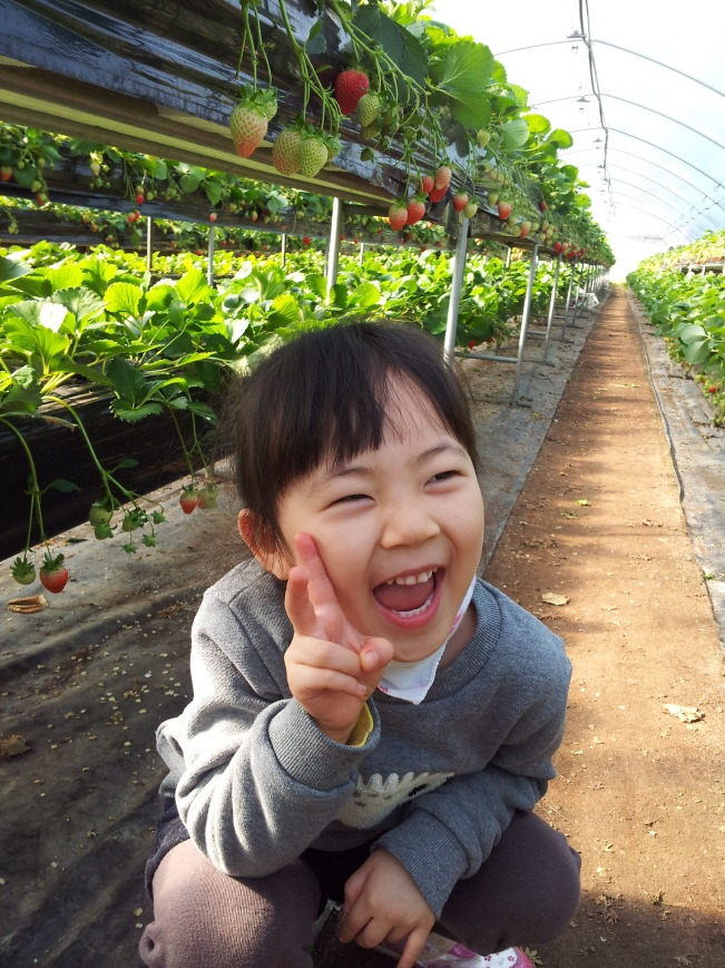 주현농장 이미지