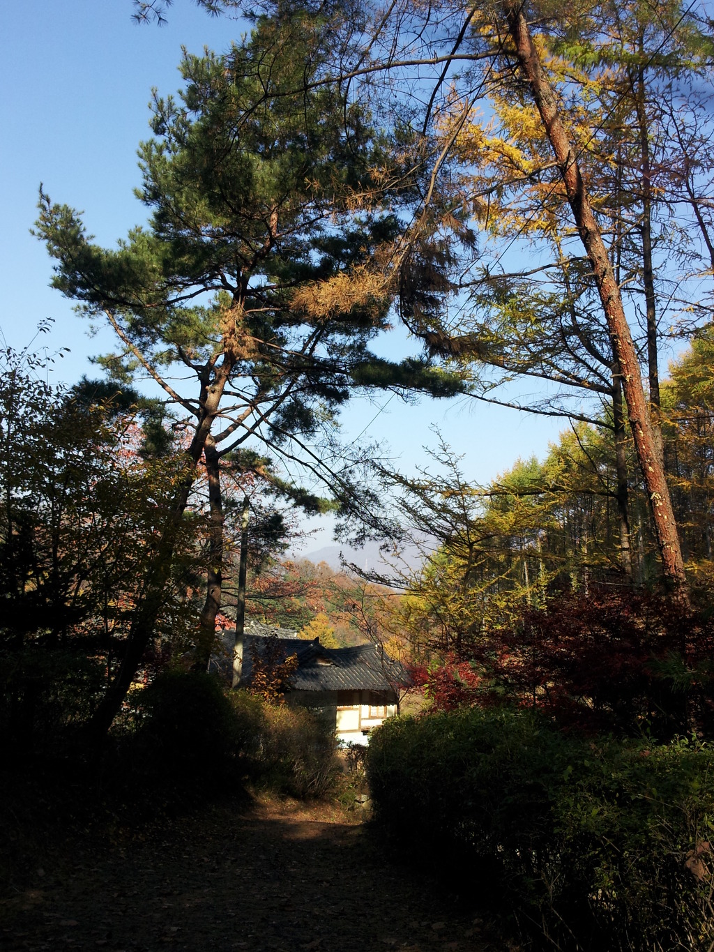 광덕사 이미지