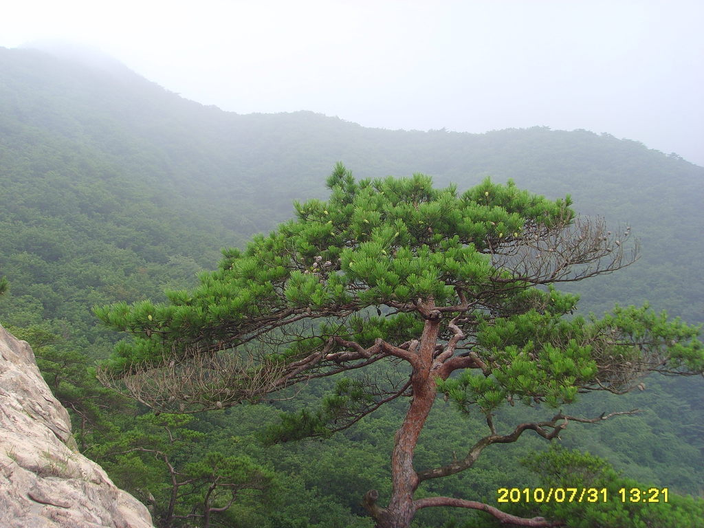 산촌가든 이미지