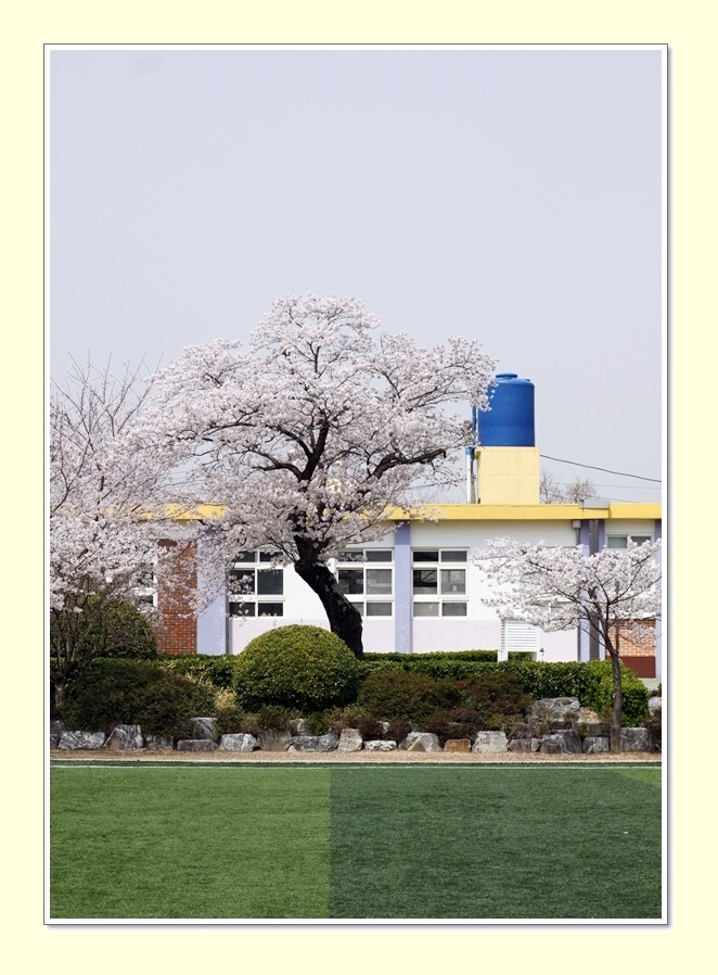 생림초등학교 이미지