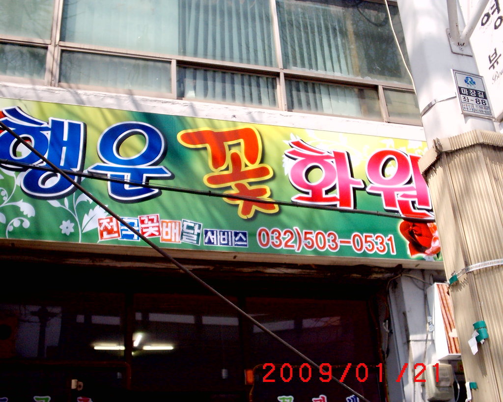 행운화원 이미지
