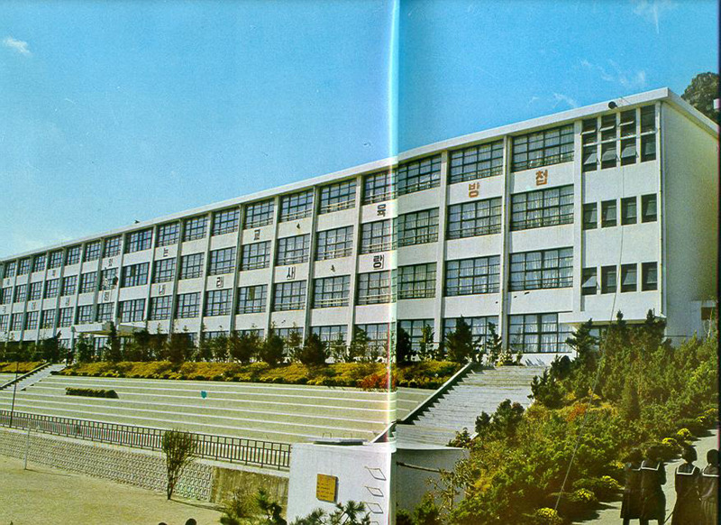 태종대중학교 이미지