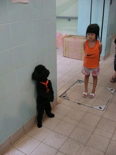 덩거리 이미지