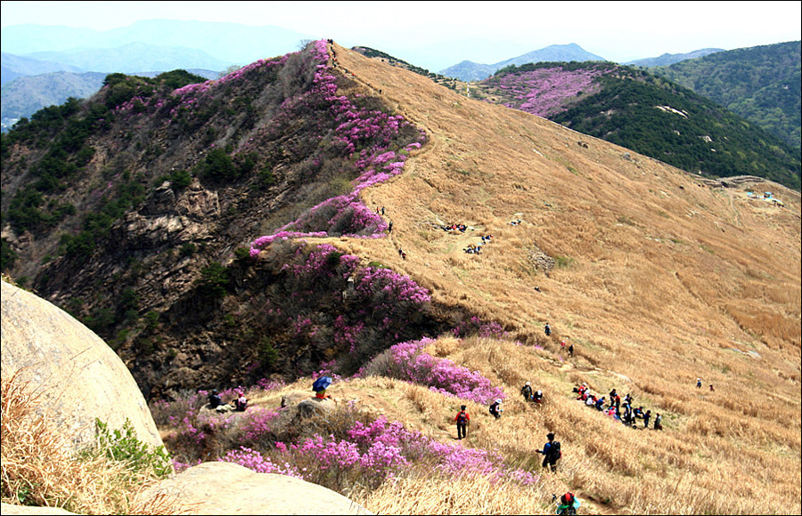 화왕산 이미지