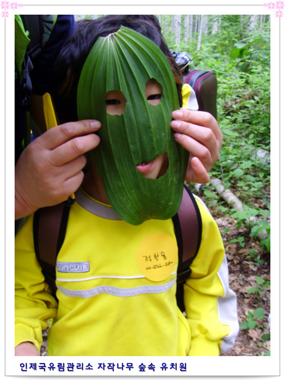 숲속사랑유치원 이미지