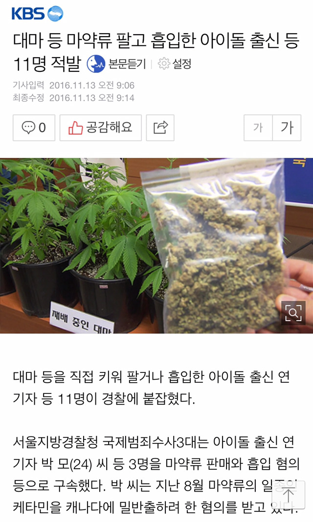 대마 등 마약류 팔고 흡입한 아이돌 출신 등 11명 적발 | 인스티즈