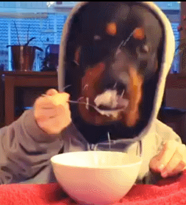 신나게 맛나게 먹는 먹방VJ . gif | 인스티즈