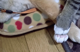 팔 저려.gif | 인스티즈