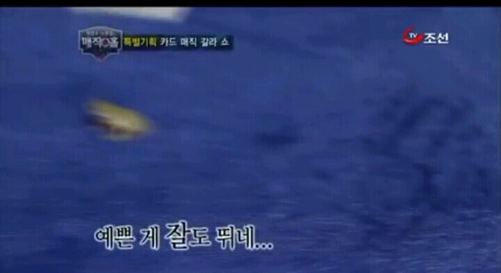 최현우 역대급마술(최현우 마법사설) | 인스티즈