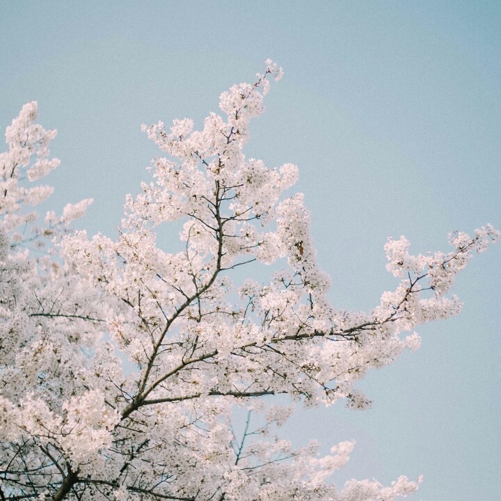 Clear청량한 | 인스티즈