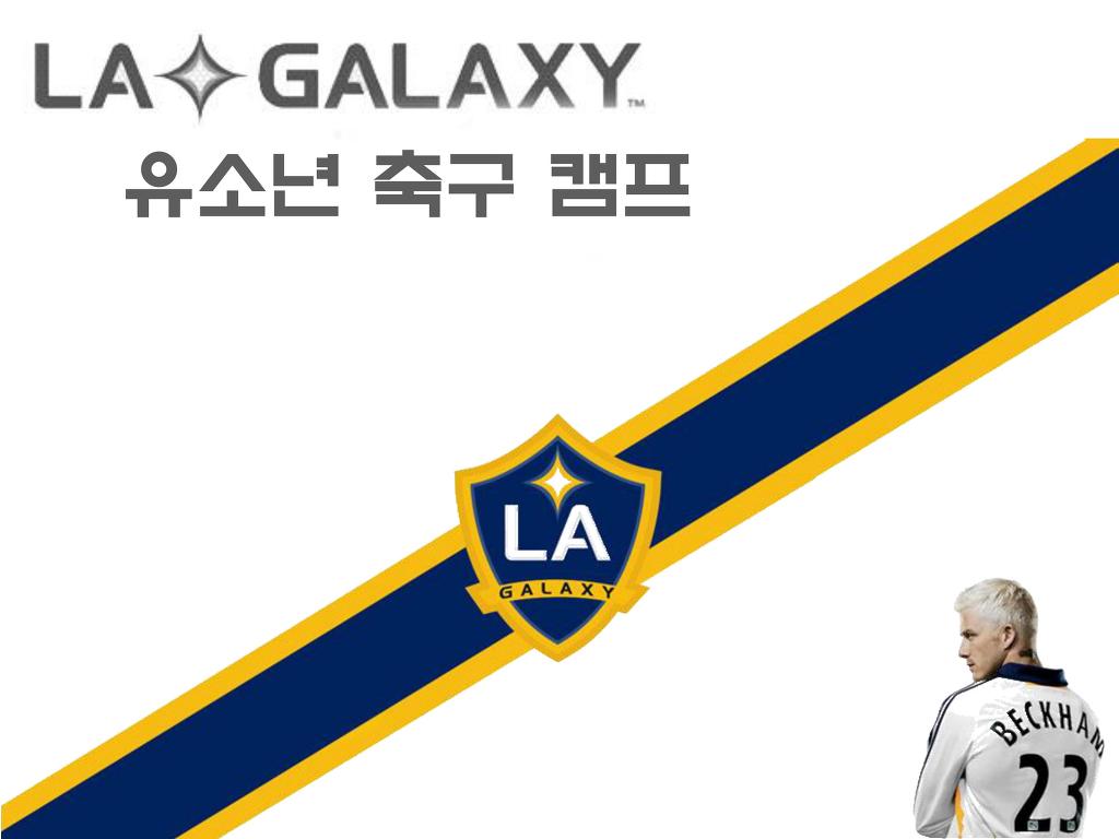 (주)선진투어 이미지