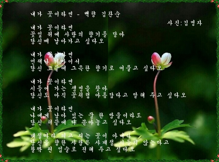 백향 이미지