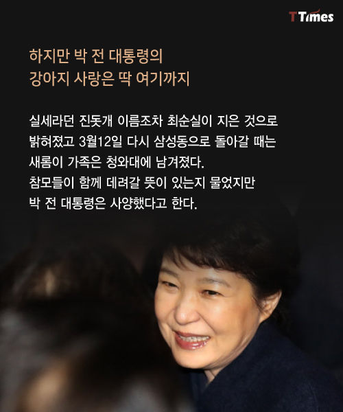 박근혜를 거쳐 간 강아지들 스토리 | 인스티즈