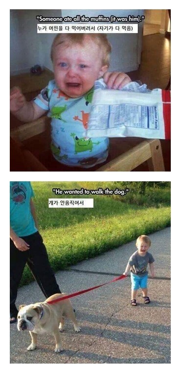 애기들이 우는 이유 | 인스티즈