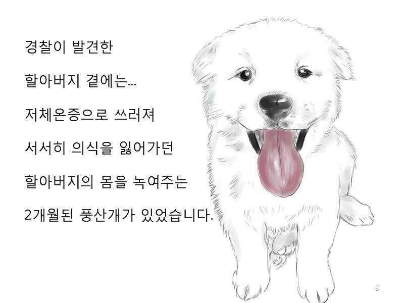 치매 할아버지를 구한 아기 풍산개 | 인스티즈
