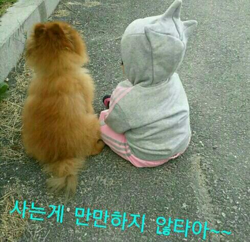 거참 이미지