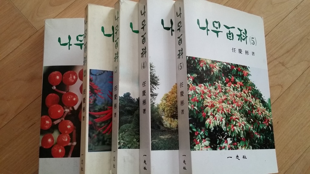 일지사 이미지