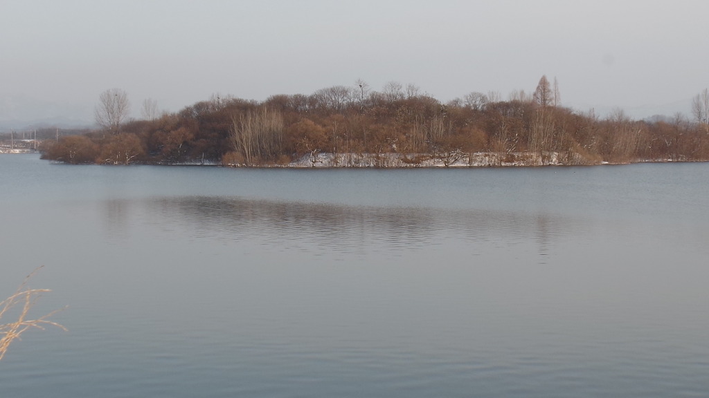 전북 전주 백석제 호수의 아름다운 겨울 풍경 (안구정화) | 인스티즈