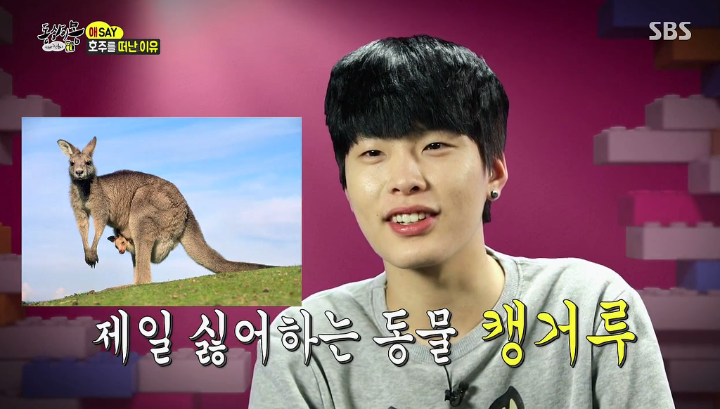 호주가 싫어서 캥거루와 샘해밍턴이 싫은 친구 ㅋㅋㅋㅋ | 인스티즈